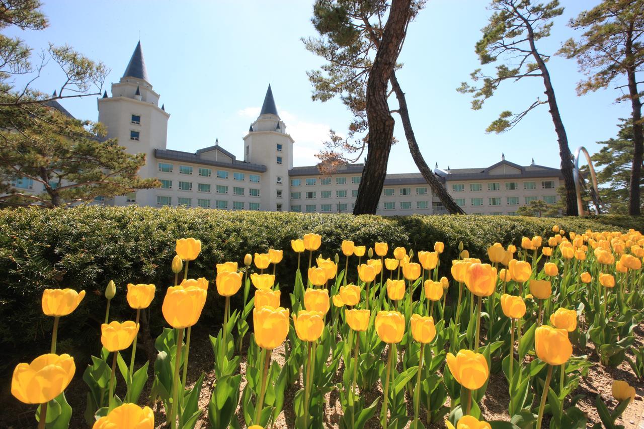 High1 Palace Hotel And Cc Jeongseon Exterior photo